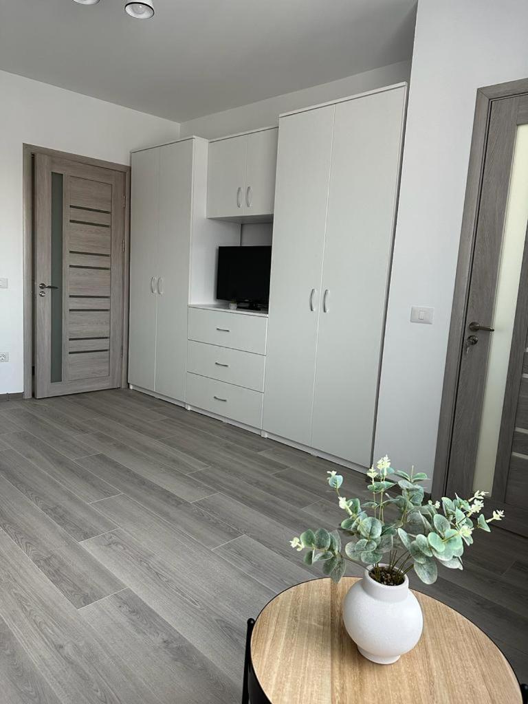 Cozy Studios In Suceava Exterior foto