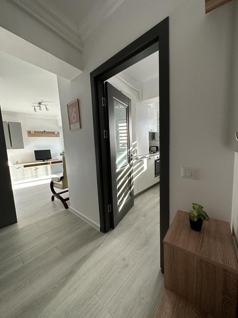 Cozy Studios In Suceava Exterior foto